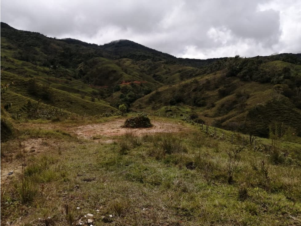 Lote en Venta Vereda Tocaima - Alejandría - 1