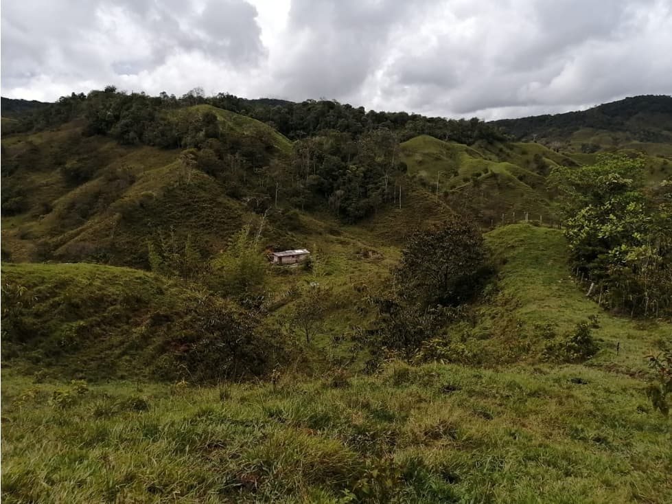 Lote en Venta Vereda Tocaima - Alejandría - 1