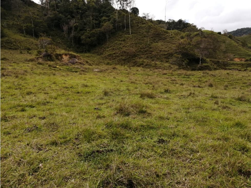 Lote en Venta Vereda Tocaima - Alejandría Antioquia - 1