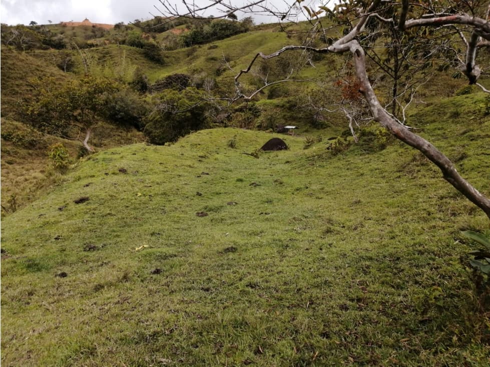 Hermoso Lote en Venta Vereda Toscana - Alejandría - 1
