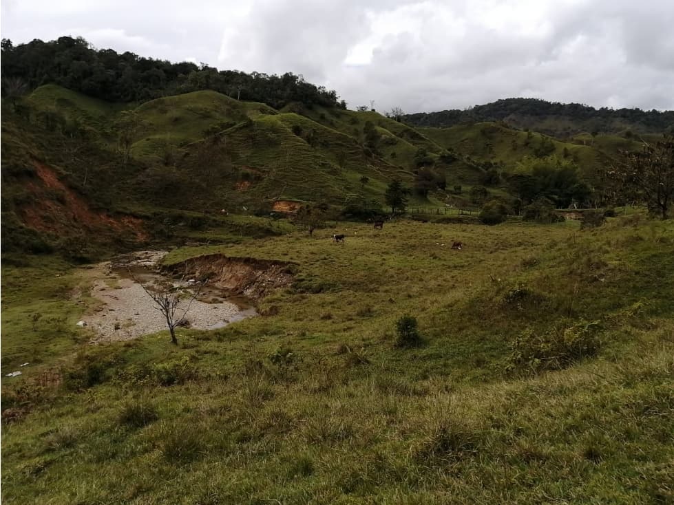 Hermoso Lote en Venta Vereda Toscana - Alejandría - 1
