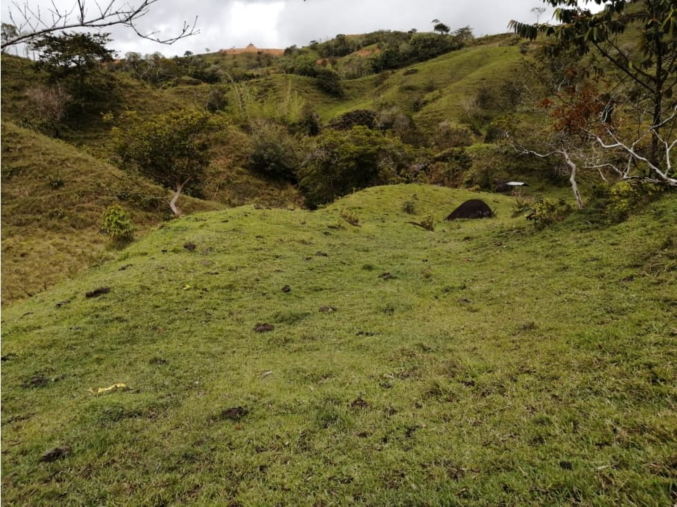 Hermoso Lote en Venta Vereda Toscana - Alejandría - 1