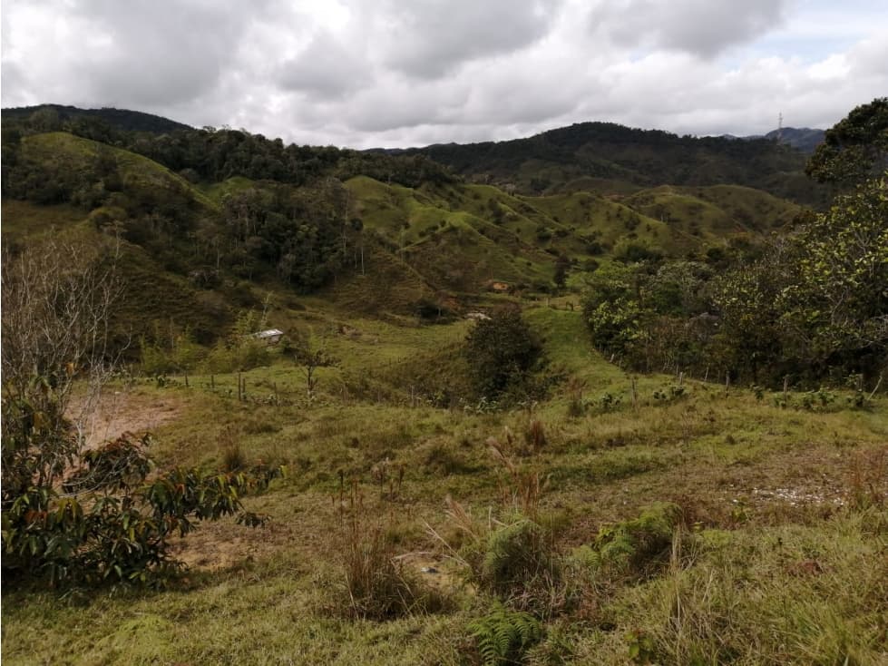 Hermoso Lote en Venta Vereda Toscana - Alejandría - 1