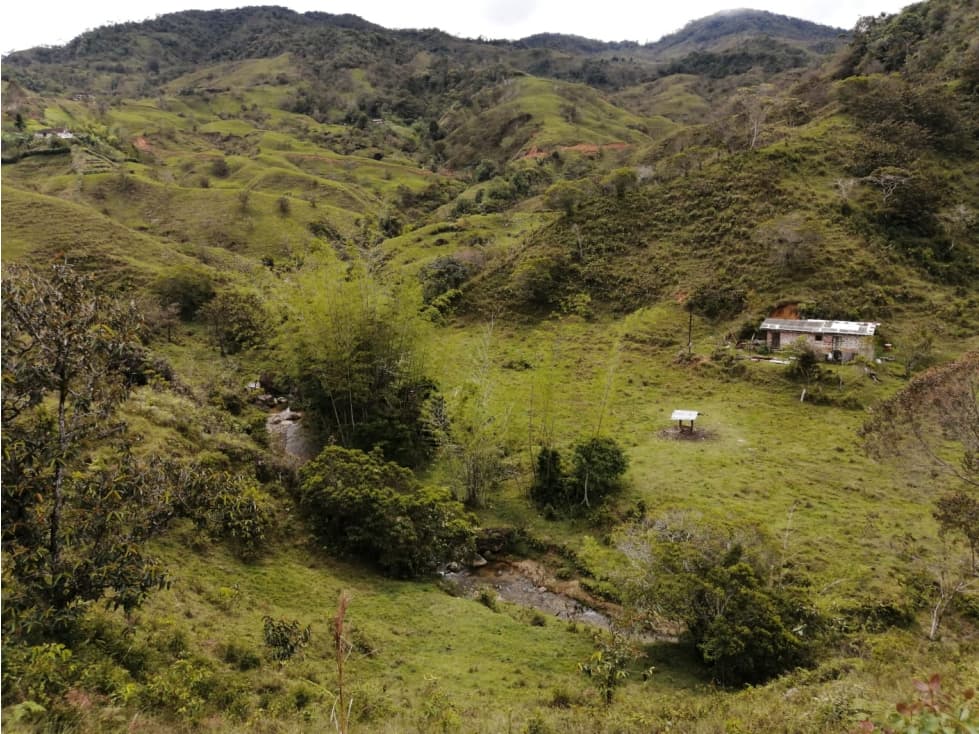 Hermoso Lote en Venta Vereda Toscana - Alejandría - 1