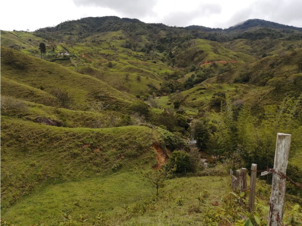 Hermoso Lote en Venta Vereda Toscana - Alejandría - 1