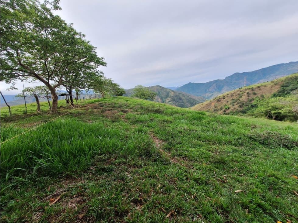 Lote en Venta Vereda San Miguel, Ciudad Bolívar - 1