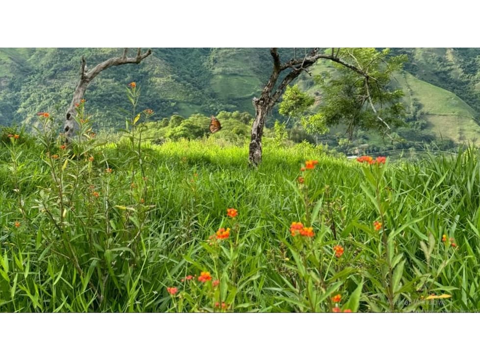 Lote en Venta Vereda San Miguel, Ciudad Bolívar - 1
