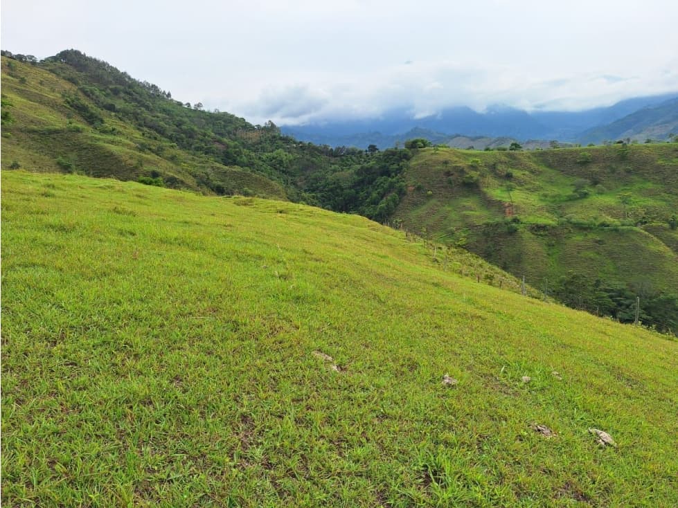 Lote en Venta, Vereda San Miguel, Ciudad Bolívar - 1