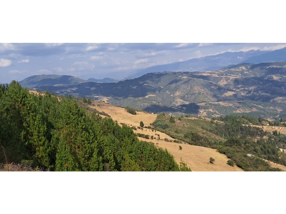Lote en Venta Vereda Tobasia, Floresta Boyaca - 1