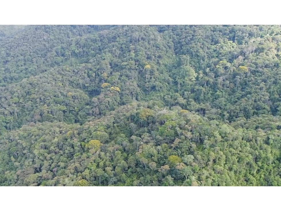 Lote en Venta Sector Santa Cruz, San Rafael Antioquia - 1