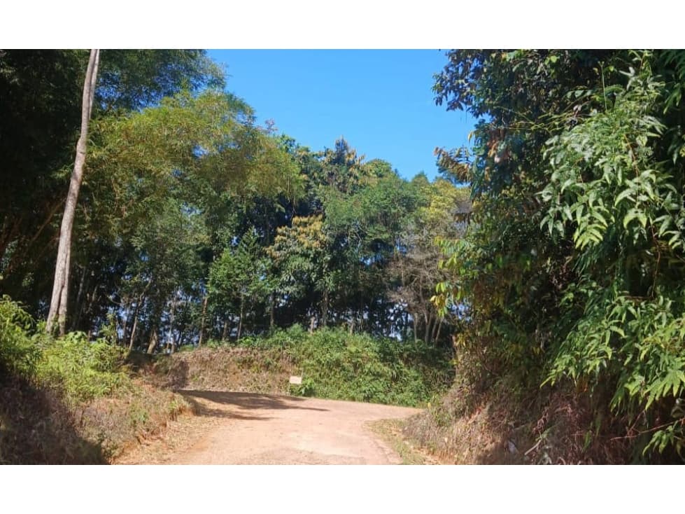 Lote en Venta Sector Santa Cruz, San Rafael - 1