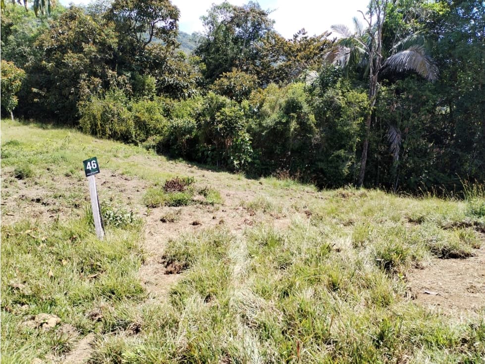 Venta de Lote en Cocorná, Sector Santa Barbara - 1