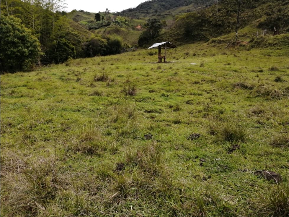 Hermoso Lote en Venta Vereda Toscana - Alejandría - 1