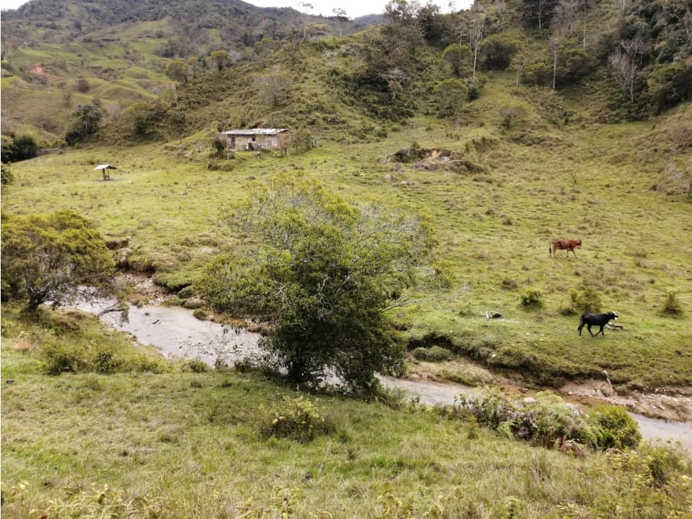 Hermoso Lote en Venta Vereda Toscana - Alejandría - 1