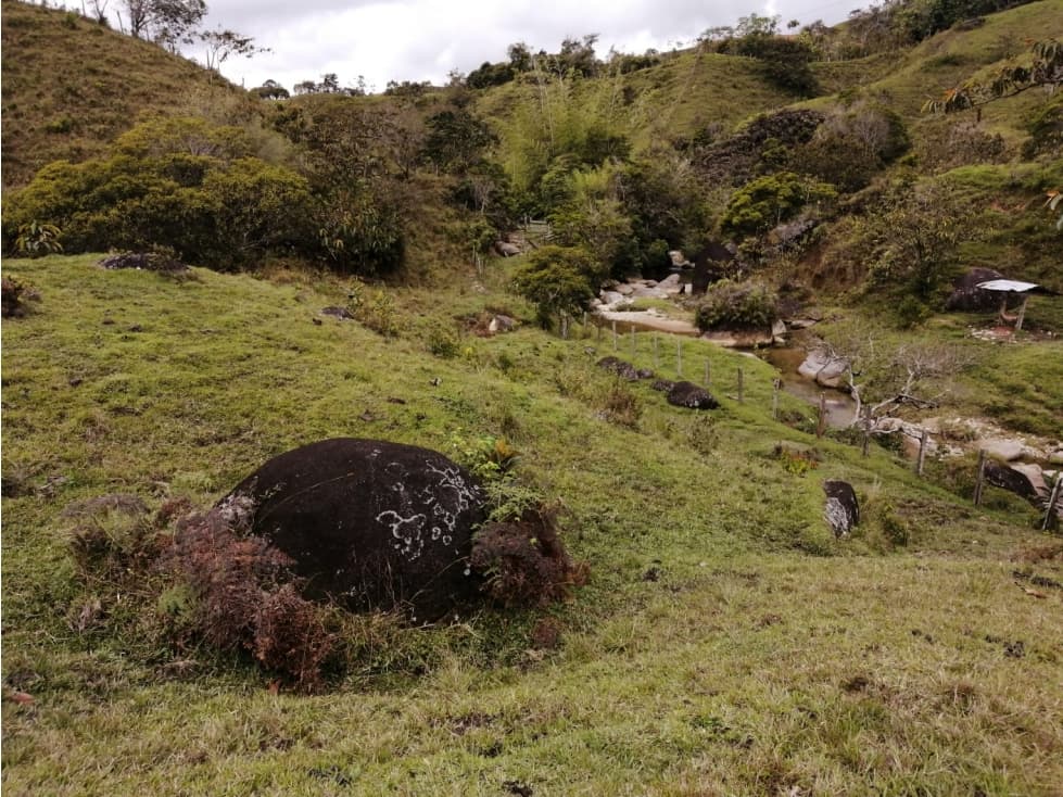 Hermoso Lote en Venta Vereda Toscana - Alejandría - 1