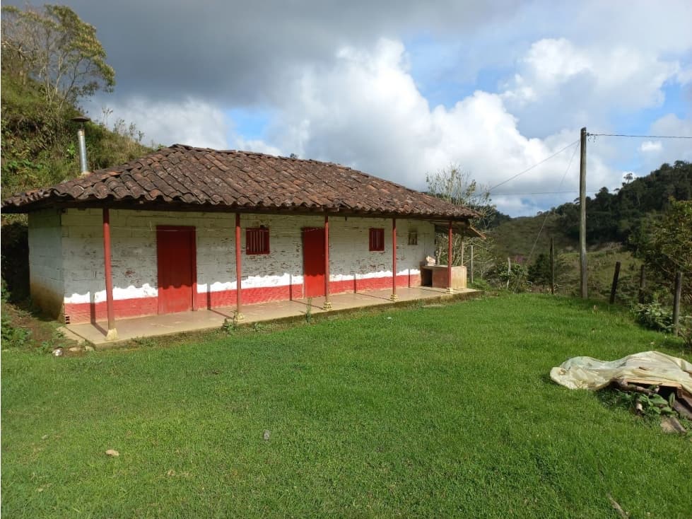 Finca para Parcelar: 3 Lotes por Hectárea Sector San Pedro, Concepción - 1