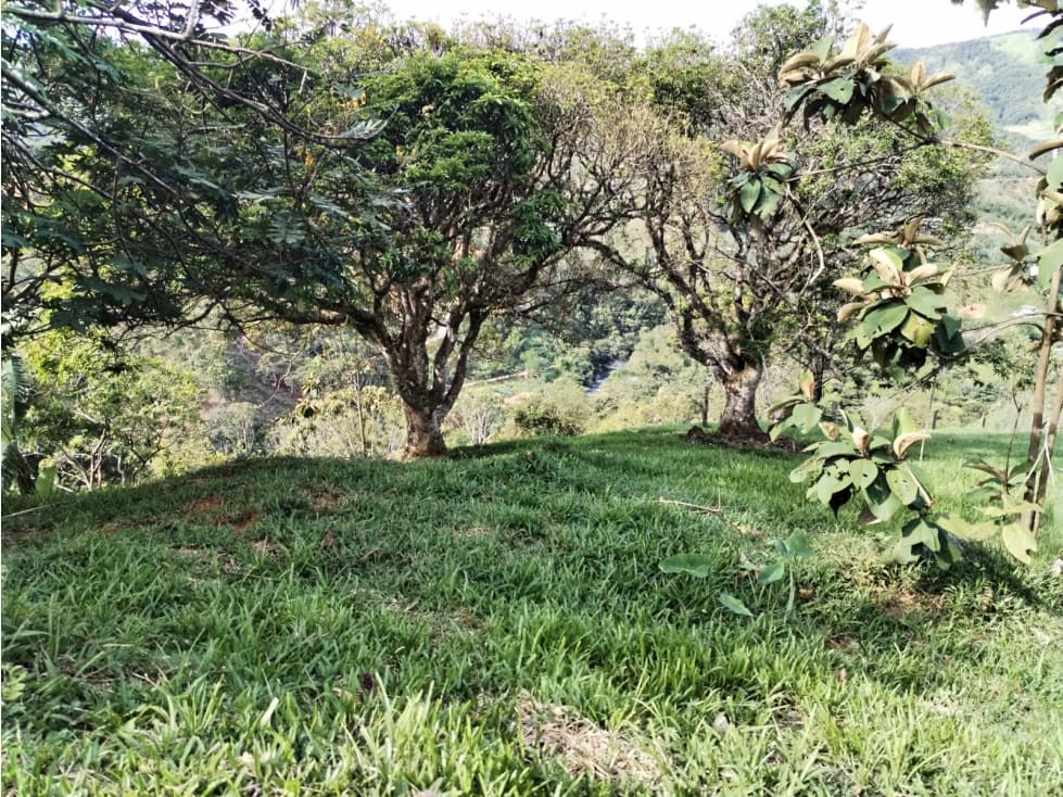 ¡Excelente Oportunidad! Lote en Venta Sector Los Cedros, Cocorná - 1