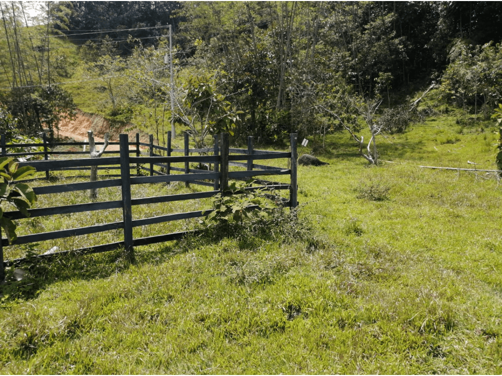 Venta de lote # 42 Cocorná - Santa Barbara - 1
