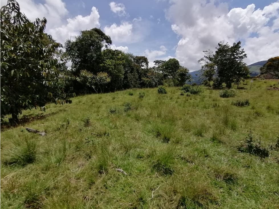 Venta de Lote #44 en Cocona Santa Barbara - 1
