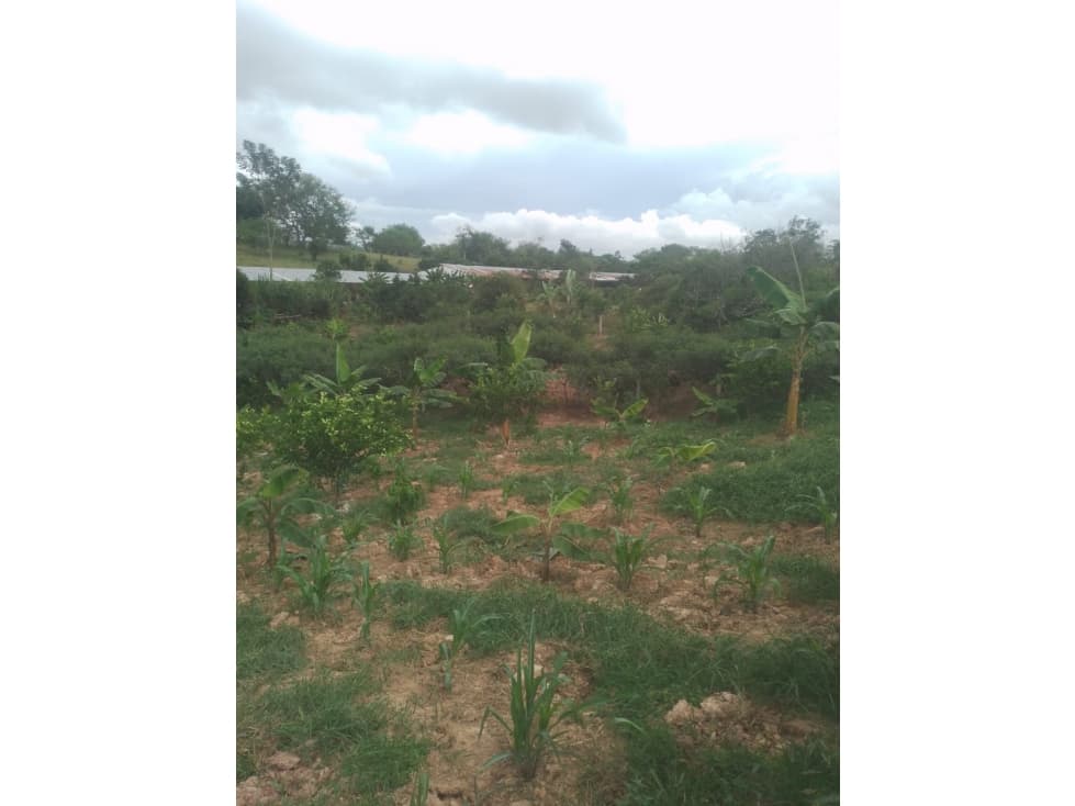 LOTE EN VENTA EN LEBRIJA SANTANDER - 1