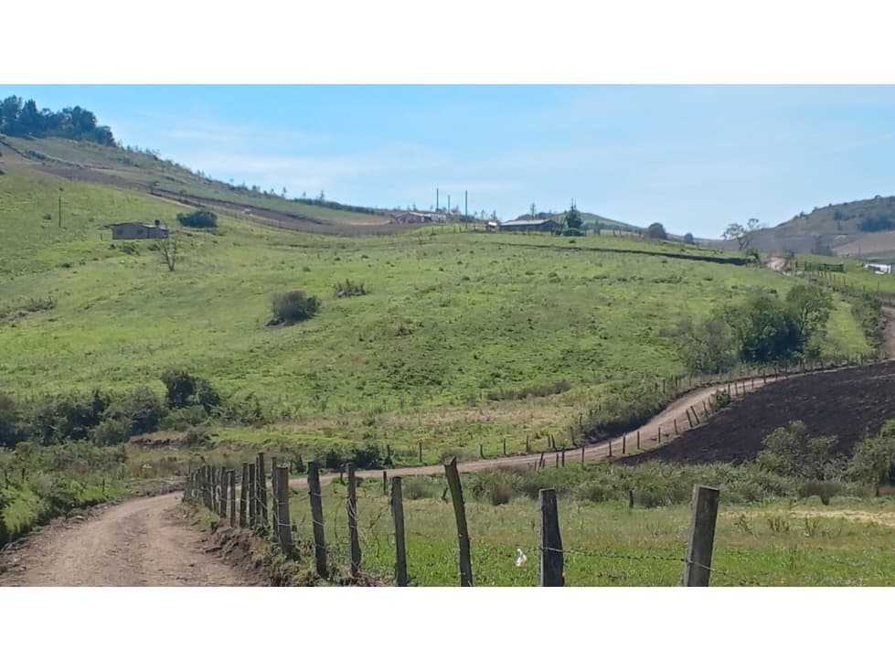 Venta Finca Villa Pinzón de 19 Fanegadas - 1