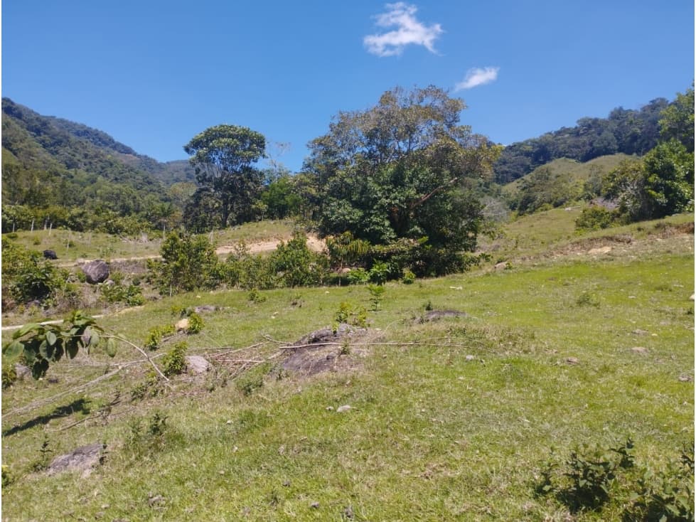 VENTA LOTE SAN RAFAEL ZONA PARA GLAMPING Y HOTELES CHARCOS - 1