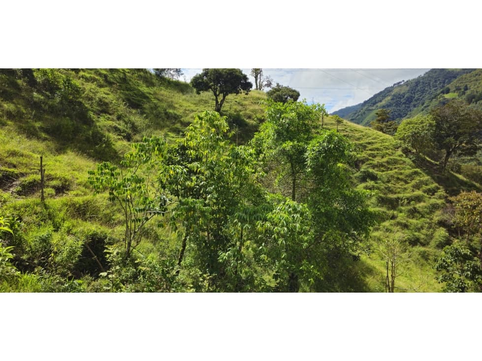 Venta de lote en Santa Bárbara vereda Pitayó lote no. 4 - 1