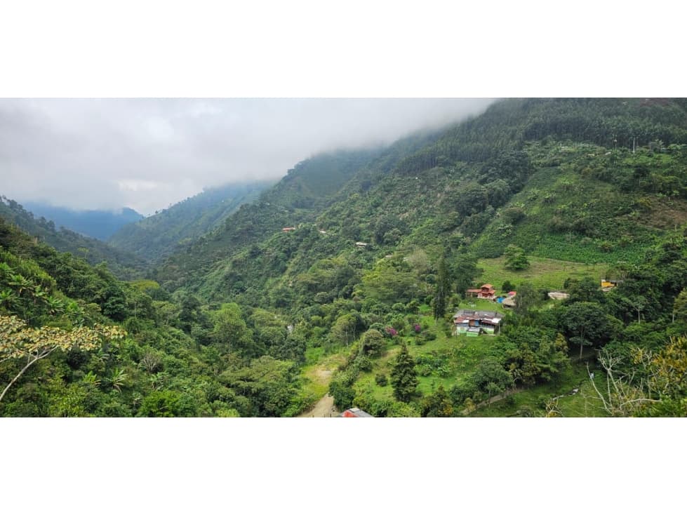 Venta de lote en Santa Bárbara vereda Pitayó lote no. 1A - 1