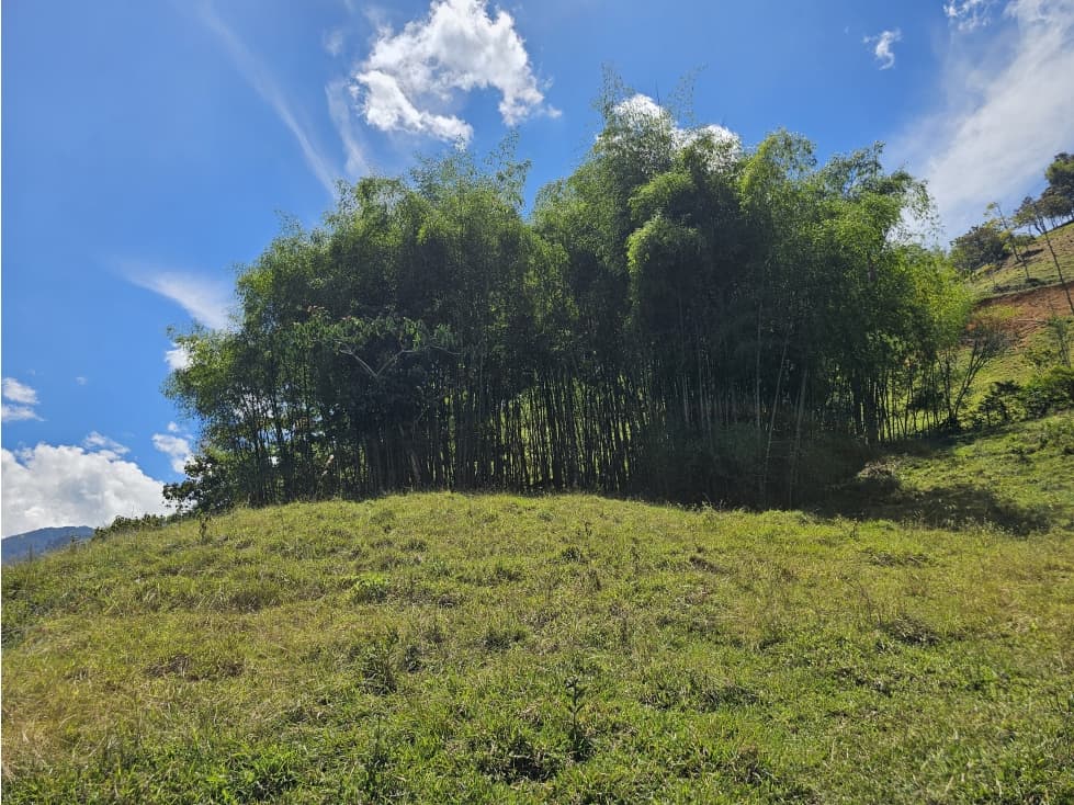 Venta de lote en Santa Bárbara vereda Pitayó lote no. 6 - 1