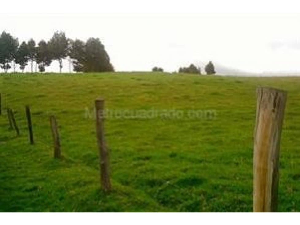 LOTE EN VENTA EN CHIA 10.244 M2 - 1