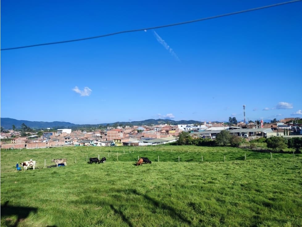 vendo lote urbano la Unión Antioquia 14.000 m2 aprox. - 1