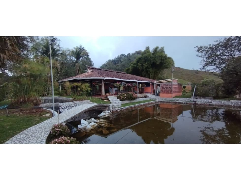 Finca En Venta en Cocorná Santuario, Antioquia 51 Hectáreas - 1