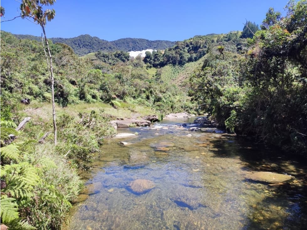 vendo finca en Sonsón Antioquia, aguas cristalinas, bosques, aire puro - 1
