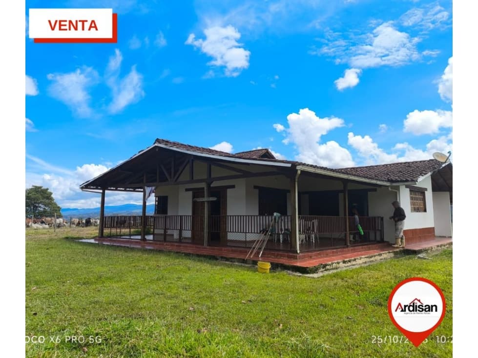 FINCA GANADERA DE 33 HECTAREAS - 1