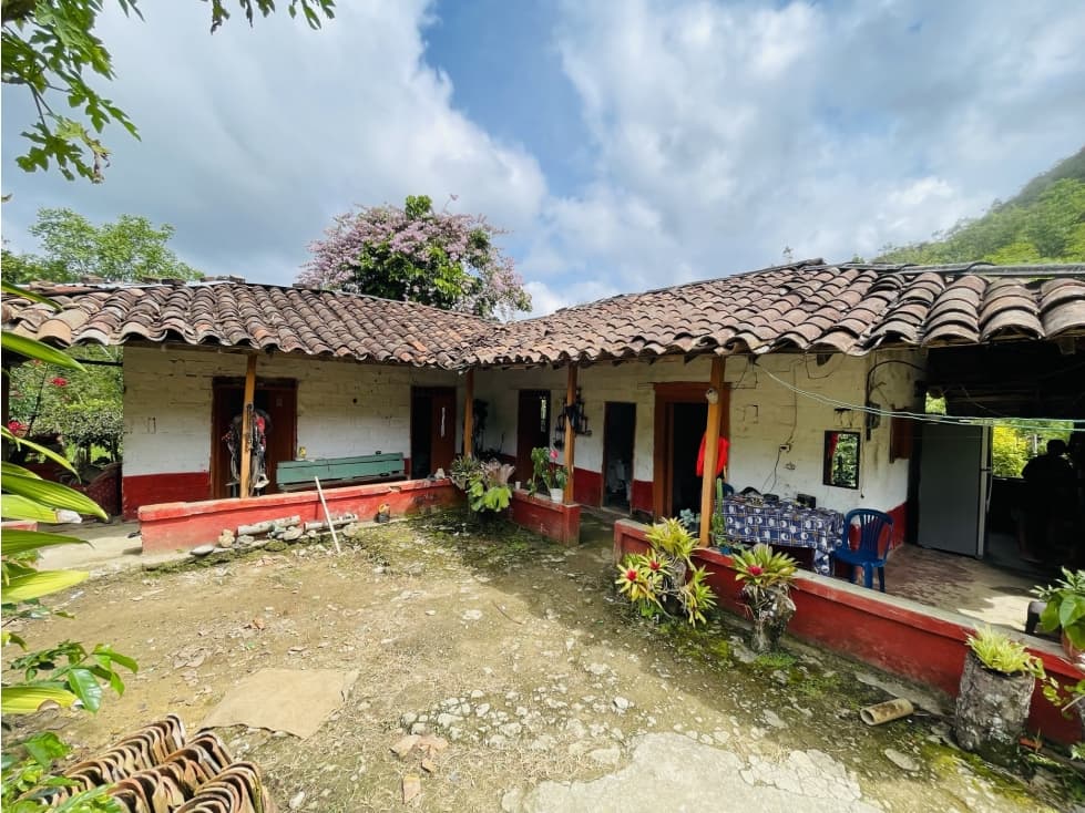 Se vende Finca de 10 hectáreas en San Roque, Antioquia - 1