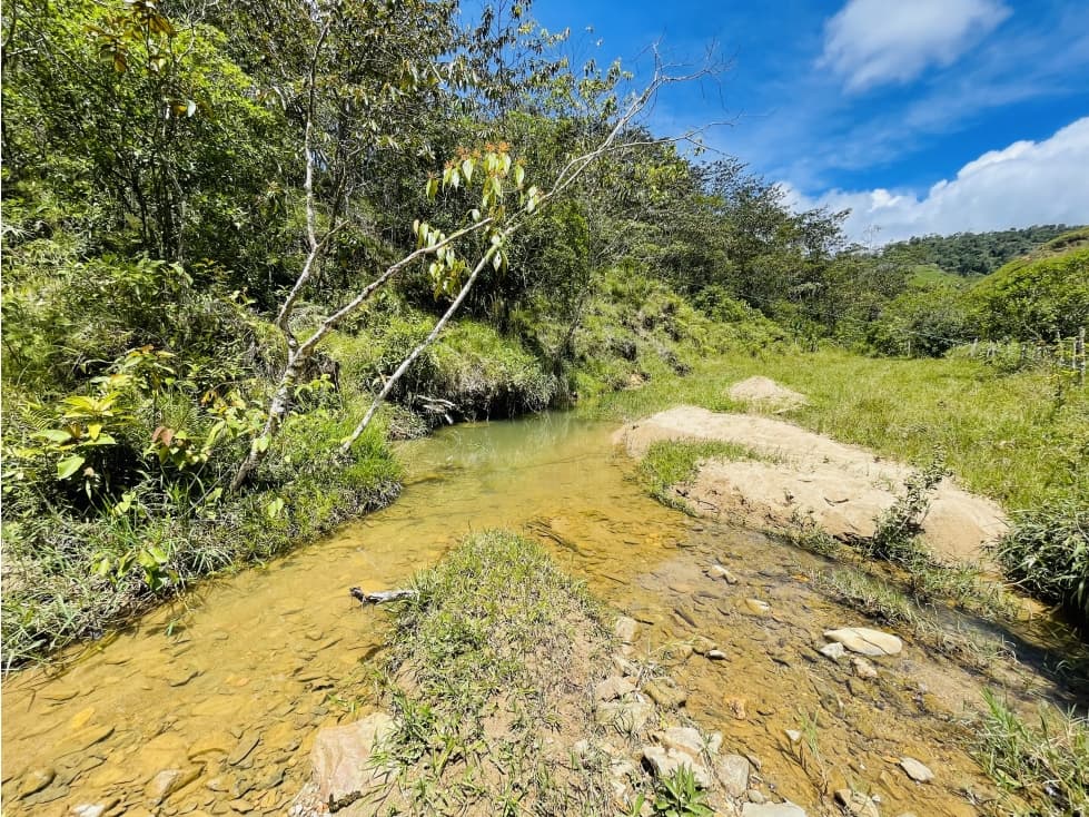 Venta de lotes en San Roque, Antioquia - 1