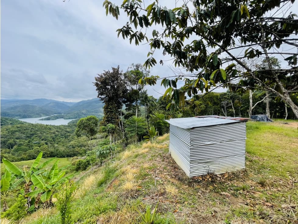 Lote en venta en San Roque, Antioquia. embalse san lorenzo - 1