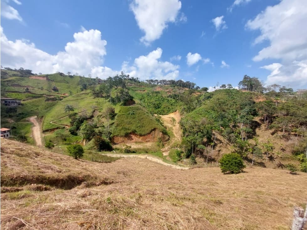 Se venden 2 lotes ubicados cerca a Yolombo Antioquia - 1