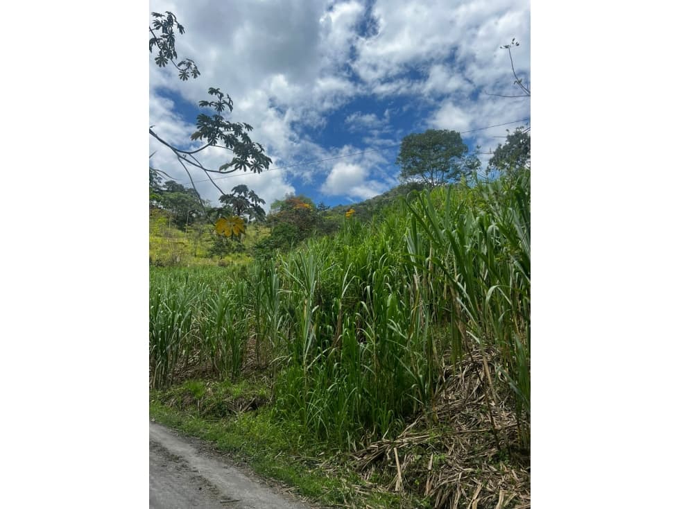 VENDO LOTE NOCAIMA CUNDINAMARCA 10.282MTS $ 240.000.000 MILLONES - 1