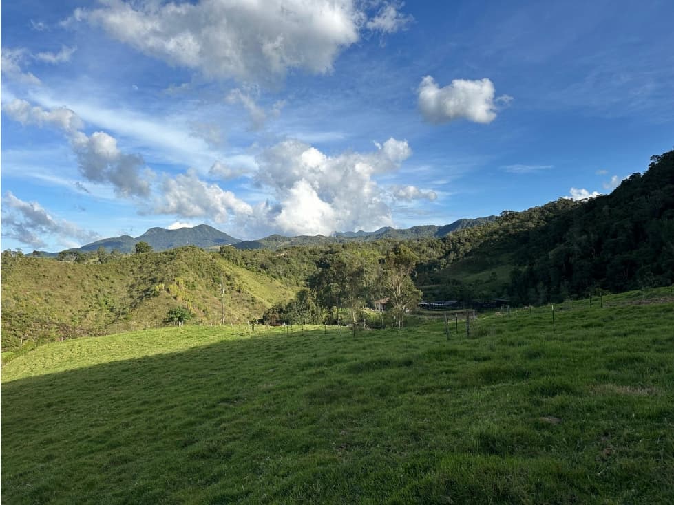 ENCANTADORA FINCA GANADERA EN VENTA LA UNION - 1
