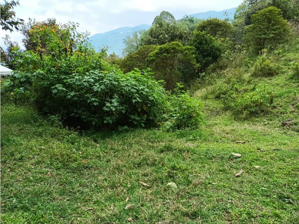 Venta de Finca en la Vereda Santa Rita - Angelopolis - 1