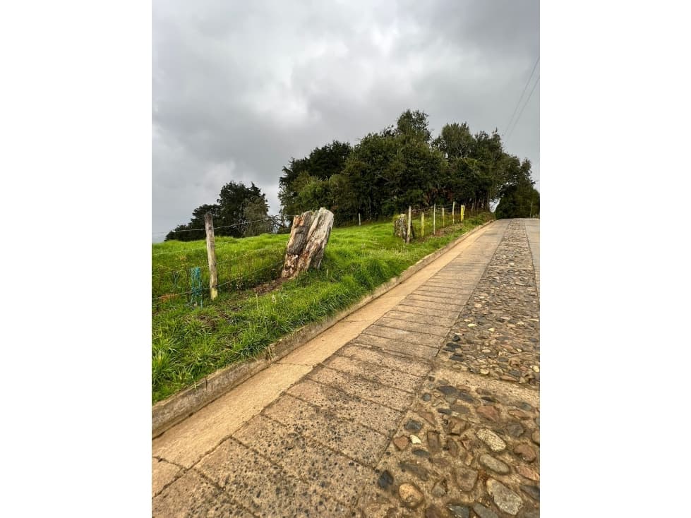 VENDO LOTE VIA SAN PEDRO DE LOS MILAGROS, VEREDA CEREZAL - 1