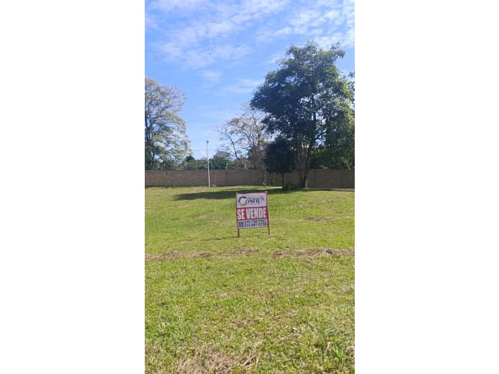 ESPECTACULAR LOTE EN VENTA - 1