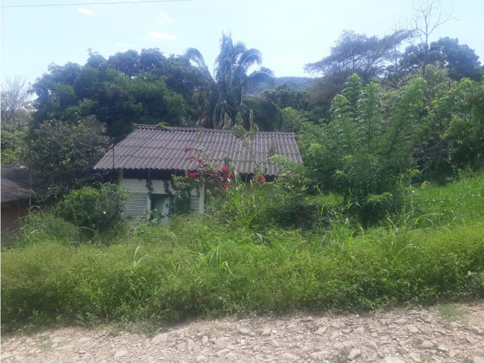 FINCA - 1