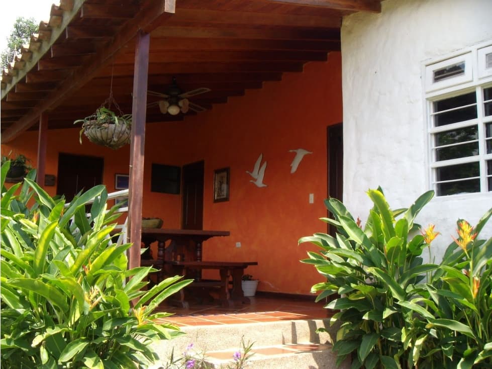 Venta finca Támesis. 37.274 m2. $1.800 millones - 1