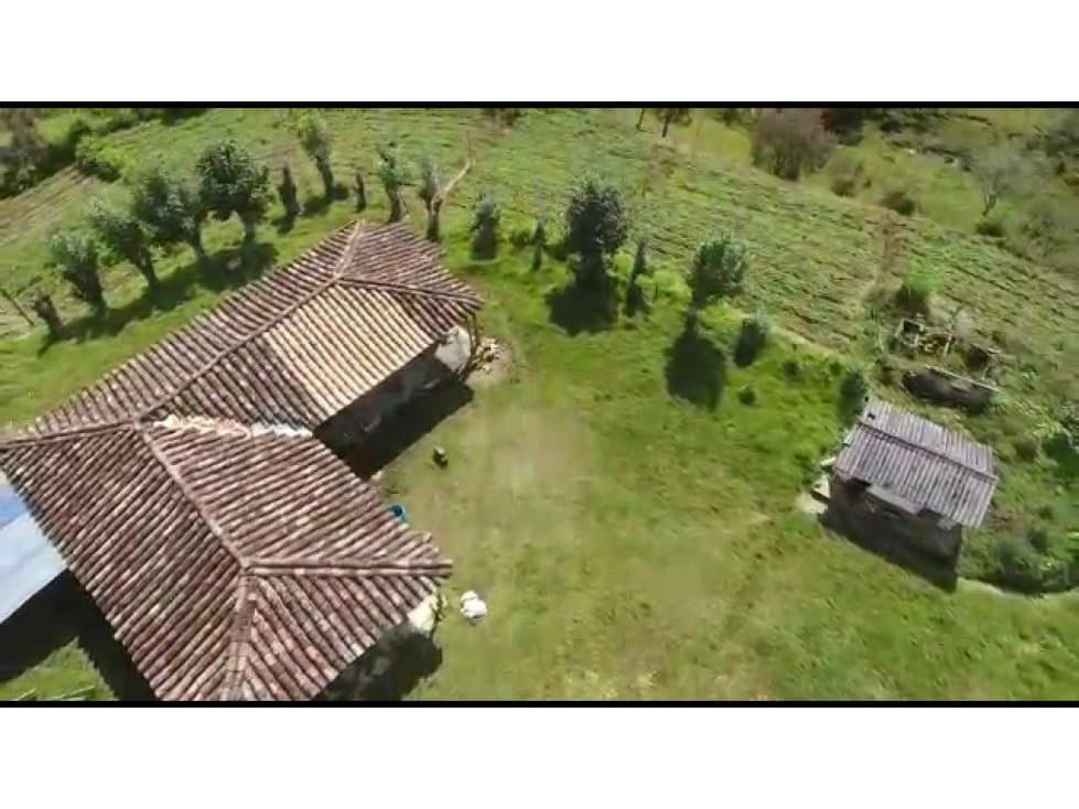 Vendo Finca 65 Cuadras Cocorna - 1