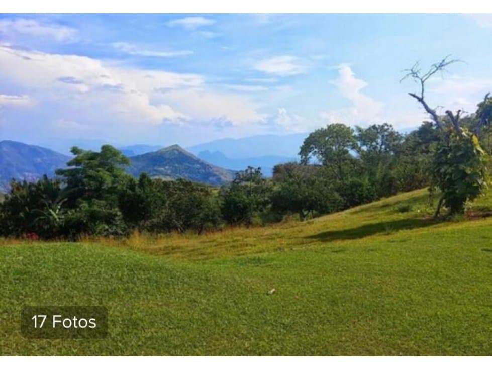 Vendo Lote Industrial de 32.000 mts Autopista Gitardota - 1