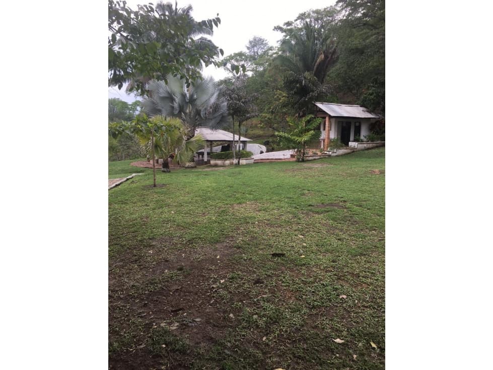 OPORTUNIDAD FINCA PRODUCTIVA 10 FANEGADAS PEÑA NEGRA CACHIPAY - 1