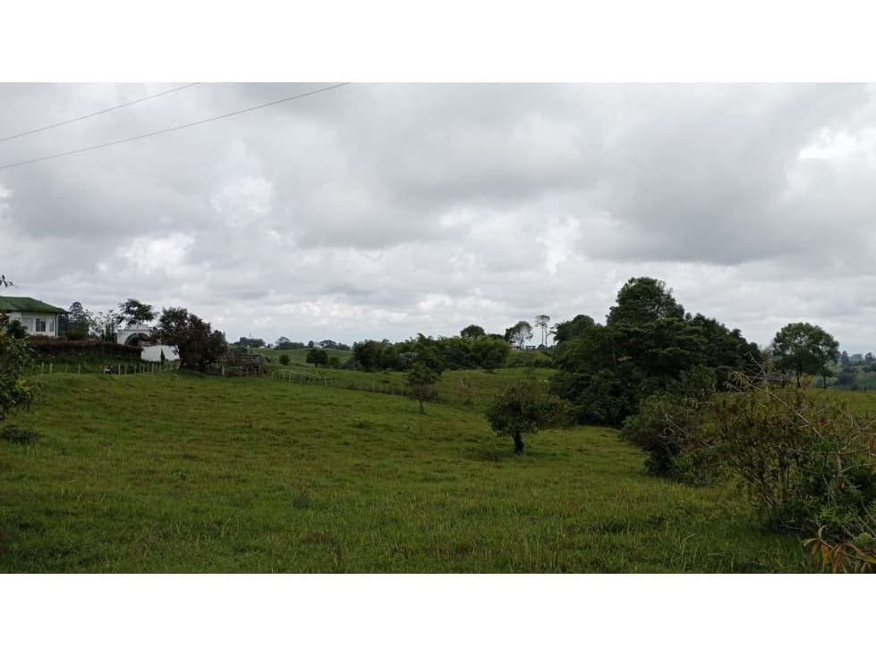 SE VENDE LOTE -TERRENO EN CIRCASIA - 1