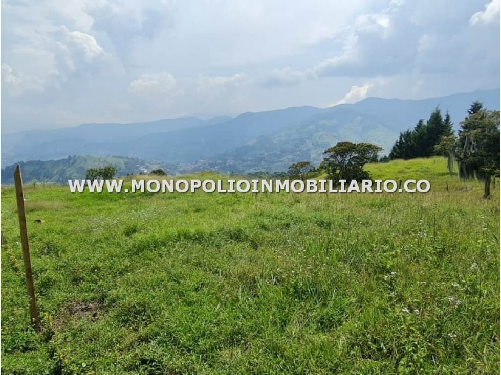 LOTE EN VENTA - SECTOR PAJARITO, SAN CRISTOBAL COD: 24439 - 1